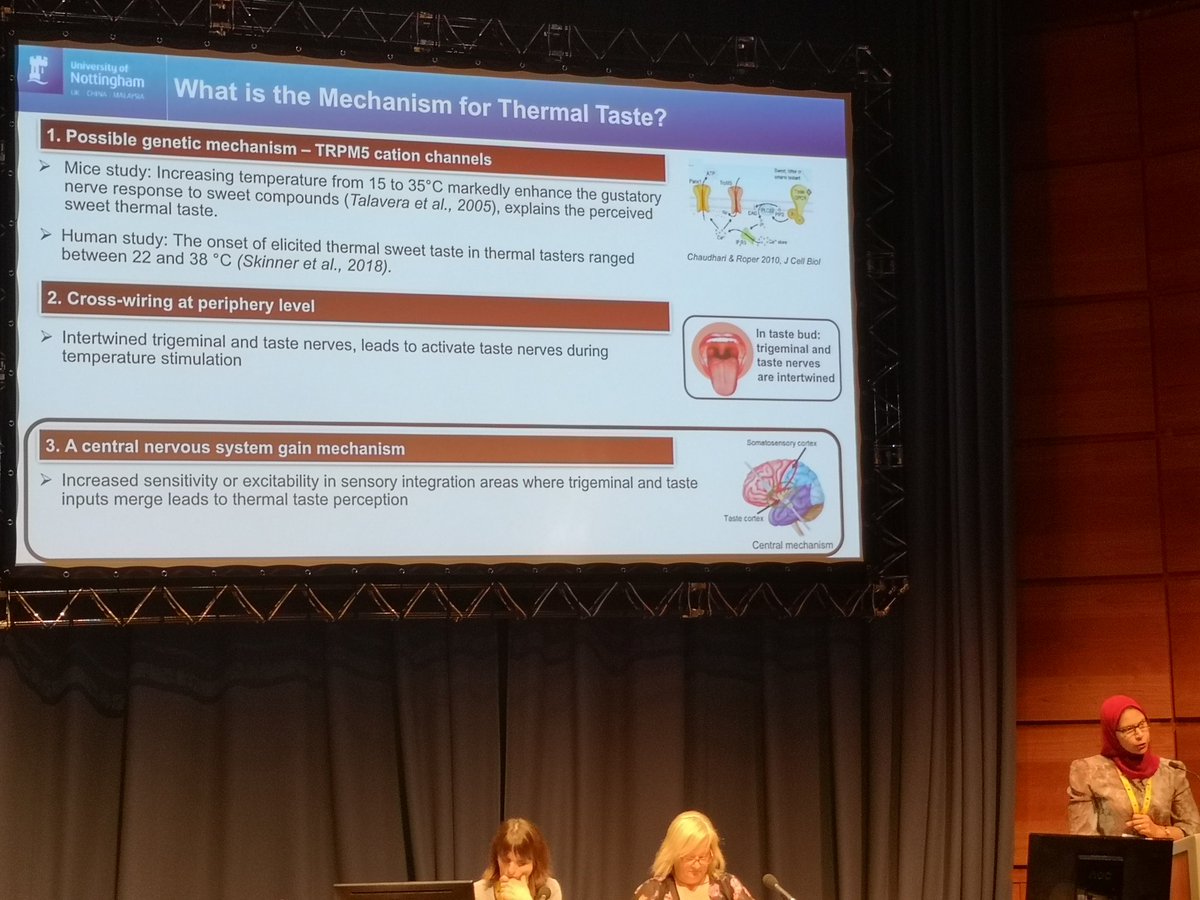 Interesting talks so far in Fundamentals of Perception session. Mechanisms of #ThermalTasters
#pangborn2019
