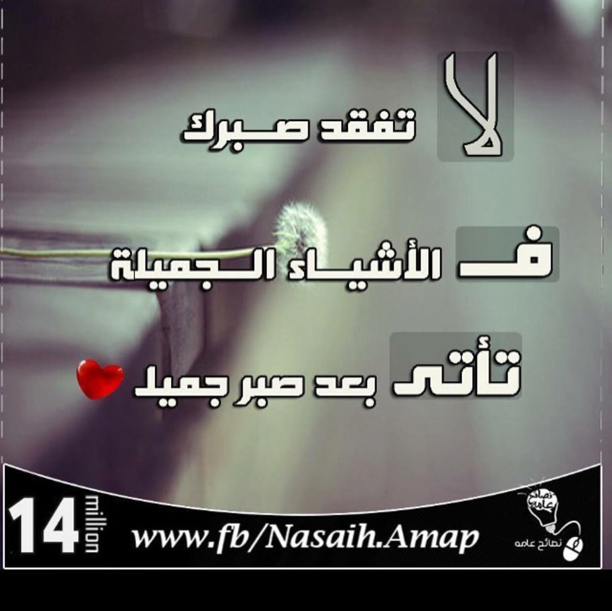 TopalaaMohamed's tweet photo. ونعمه بالله https://t.co/VD6rFhvcTr