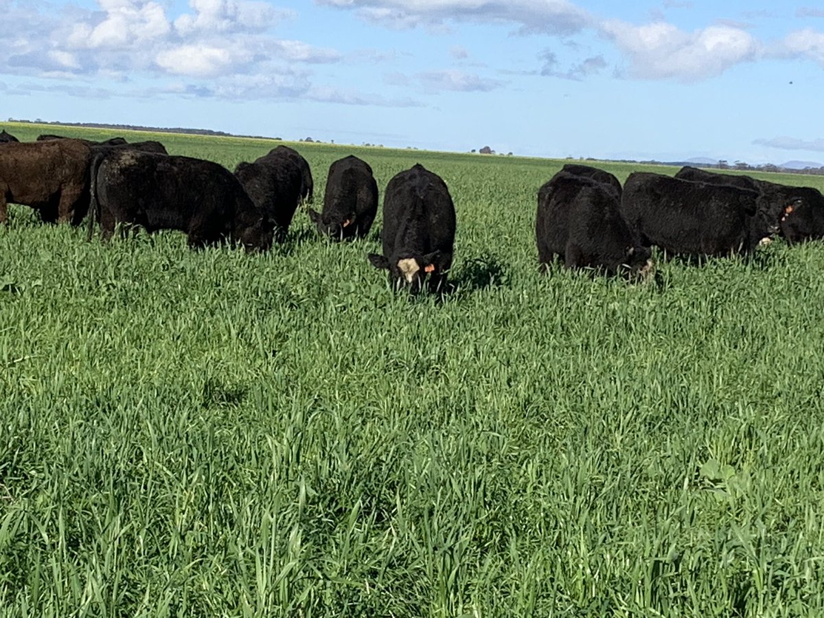 Simon Fowler tweet media