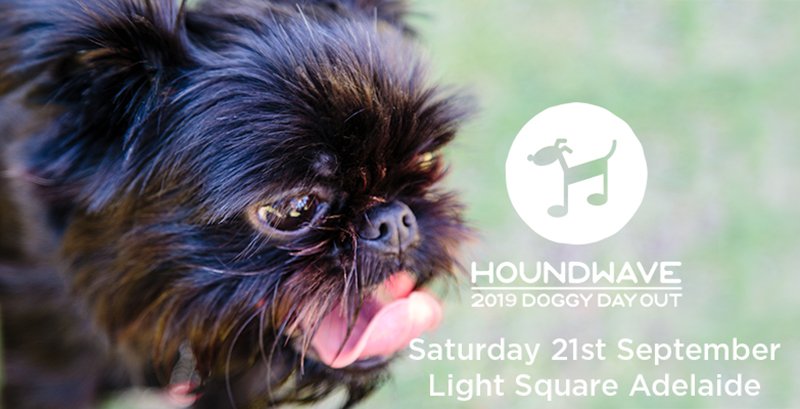 AdelaideWestEnd's tweet photo. Adelaide West End Association Winter Networking, AGM and Houndwave - https://t.co/C4Qoub1gyx #houndwave #adelaidewestend https://t.co/CWvjxL4L1H