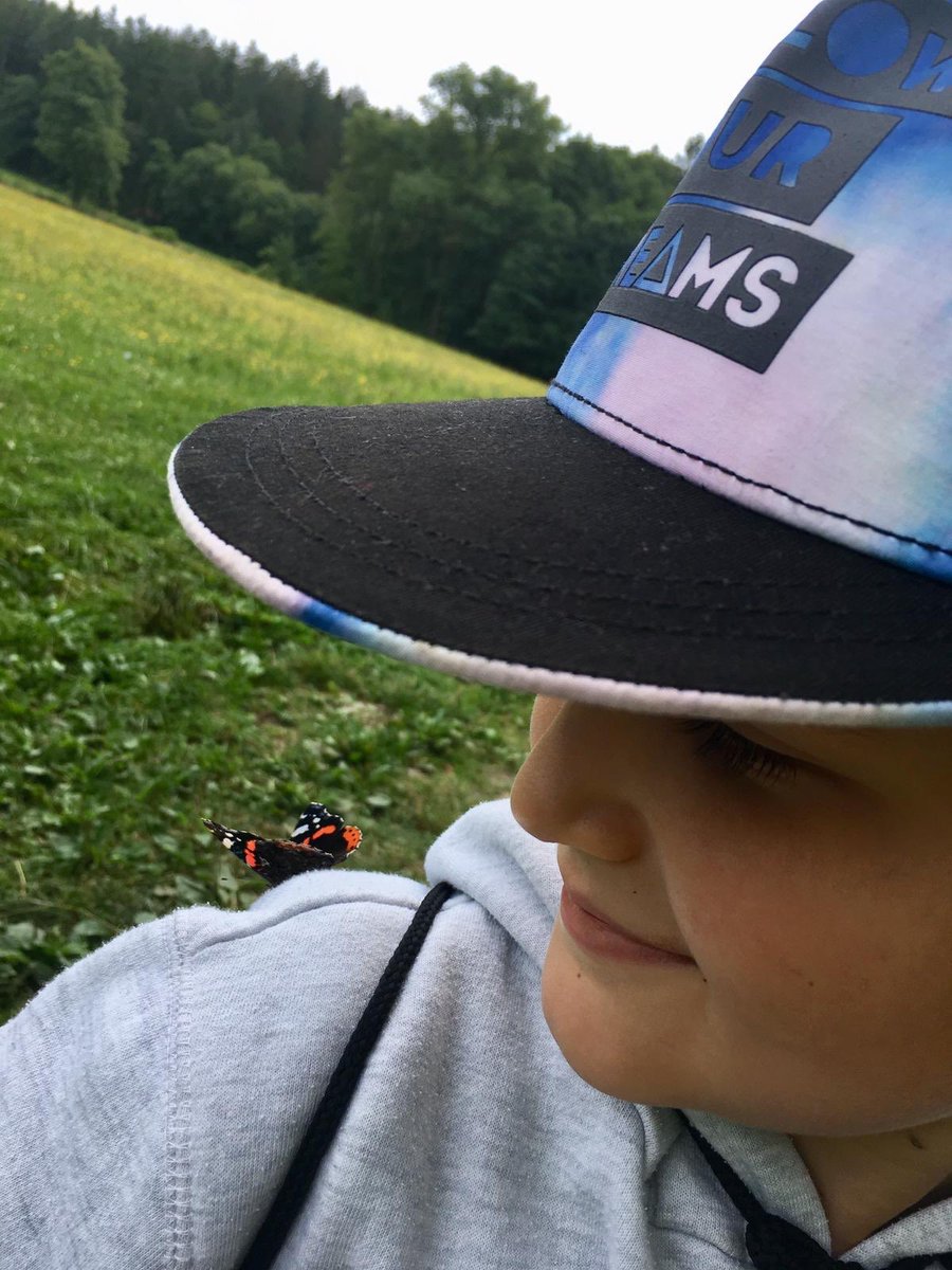 kunc_zidenice's tweet photo. Ochočené #motýle na sobotním výletě. #jedovnice https://t.co/xnYthu2A2R