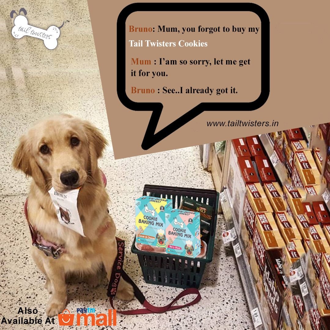 tail_twisters's tweet photo. Tail Twister's Cake &amp; Cookies mix is 100% veg &amp; is surely delicious.

Link: https://t.co/KmQzbAM7h0

#dogs #puppies #dogfoodrecipe #dogloversclub #cutedog #dogfood #dogloversfeed #tastydogfood 
#lovefordogs #tailtwisters #redvelvet #cake #cookies #carob #snacks  #healthydogtreat https://t.co/CIEdwmf06E