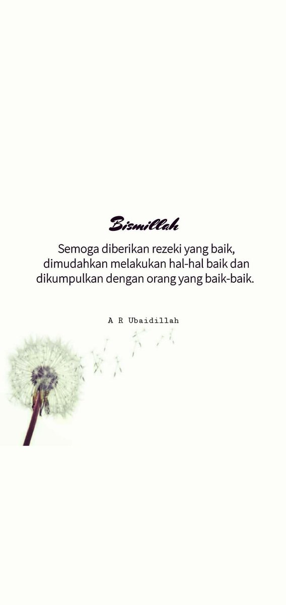 Aminnn