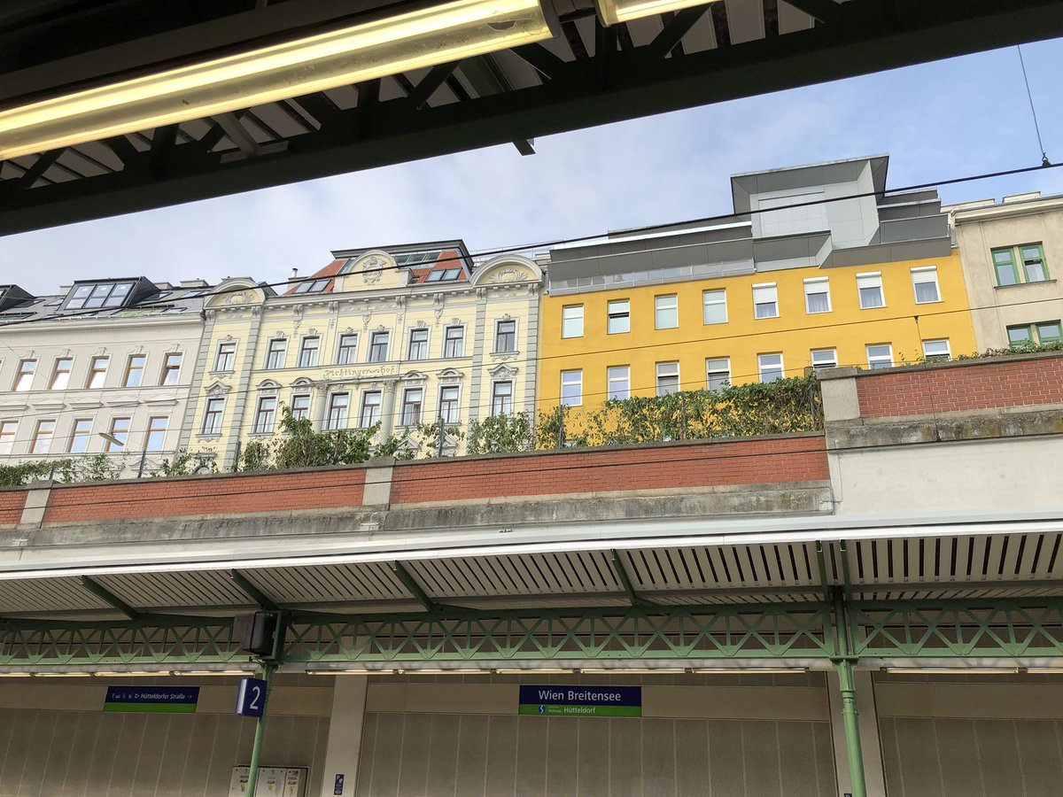 shroombab's tweet photo. Da wo jetzt nur noch der klägliche Rest von ein bisschen Grün übrig ist, standen vorher zirka 15 mächtige, gesunde, schöne Bäume. Ich wüsste gerne den Grund für die Fällungen! #breitensee https://t.co/kH4M3Rr74x