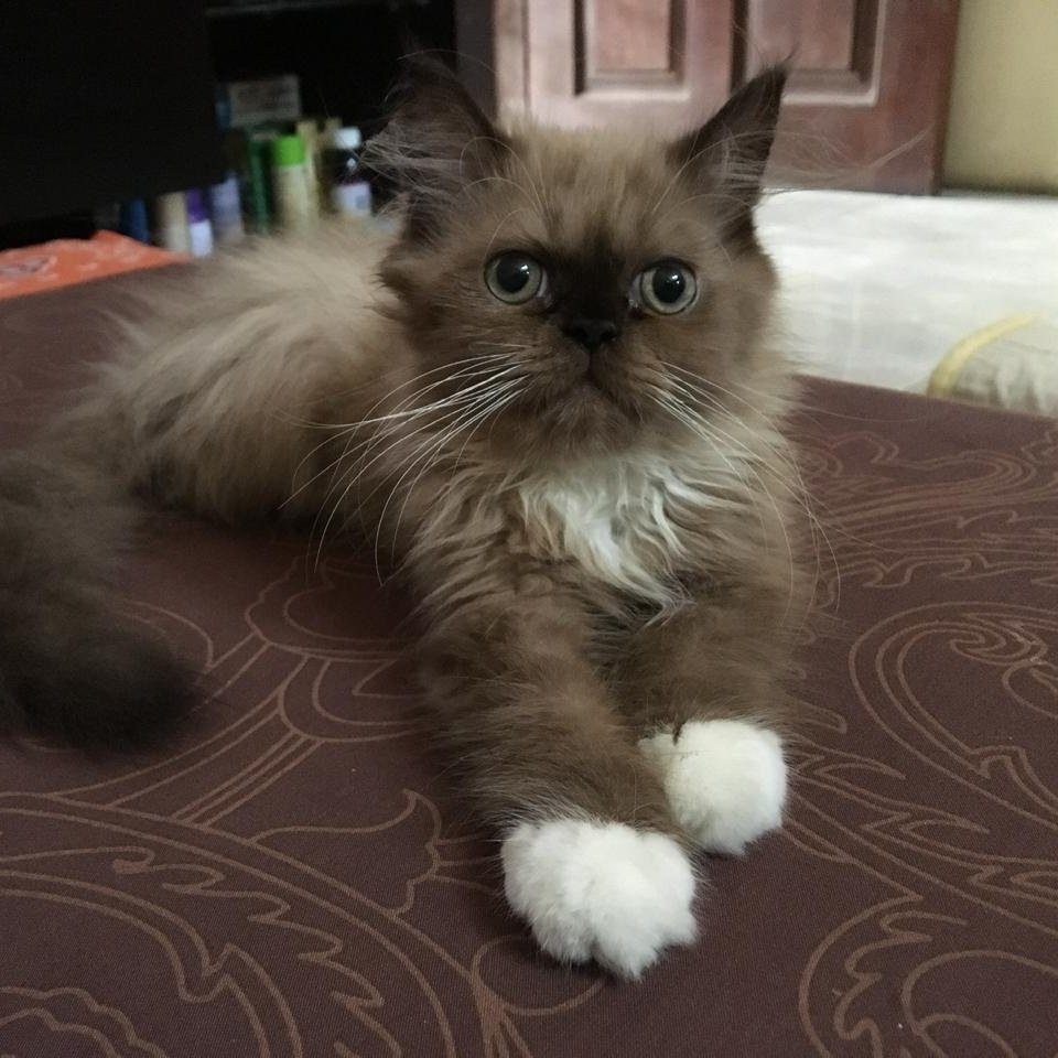 HermansyahBB's tweet image. #FotoProfilBaru