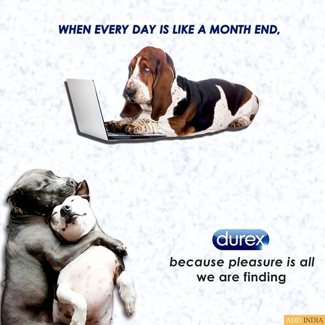 AdIndiA23's tweet photo. Just feel the pleasure. 🌷
.
.
.
.
#durexcondoms #manforcecocktailcondoms #manforcecondoms #durexindia #marketingstrategy #workhardhavefun  #creativeadvertising #suratadvertising #suratsmartcity #addIndia https://t.co/qC6dhNETOA https://t.co/gyw7lgPSTF