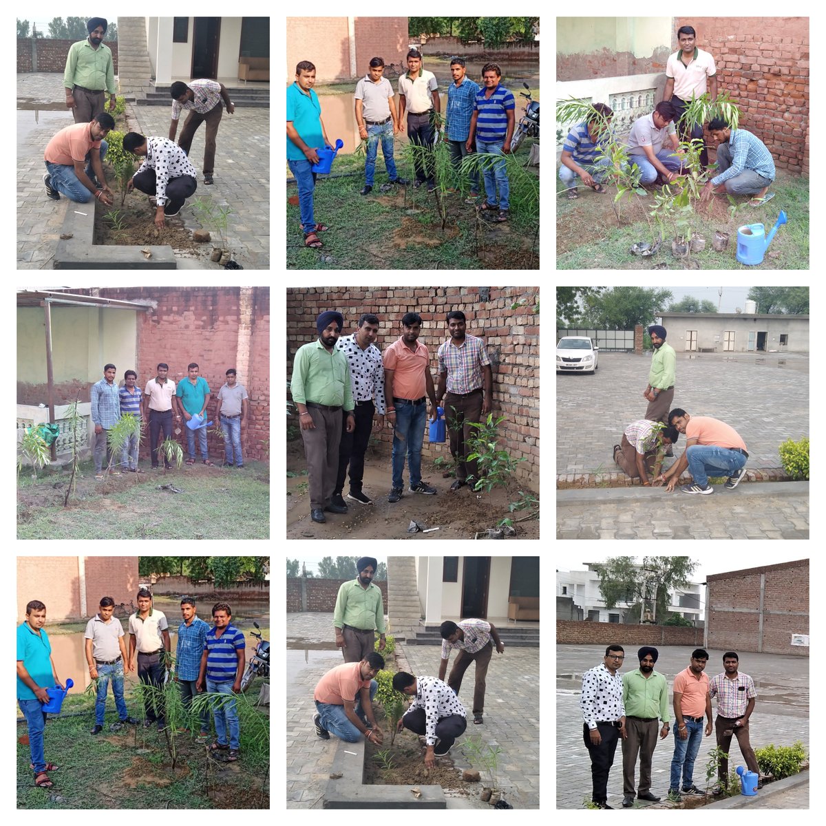 StarAgriGroup's tweet photo. Star Van Utsav Update: Plantation activity at our warehouses Rozy Babber, Bhavana Babber, Saroj Devi &amp; Sandeep Tayal Godown in Sirsa, Haryana

#VanMahotsav #SaveTrees #StarAgri #StarVanUtsav2019 #Letsplantthefuture https://t.co/MJmsNV59JU