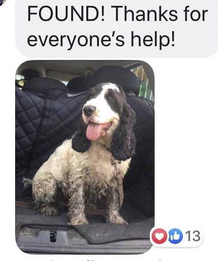 🎉YAY! #REUNITED Dottie, a Black/White Cocker Spaniel - Lost near Little Compton close to #A44 2wds #MoretoninMarsh last seen at the Cotswold Cafe between #littleCompton and #kitebrook has been FOUND & is now reunited!