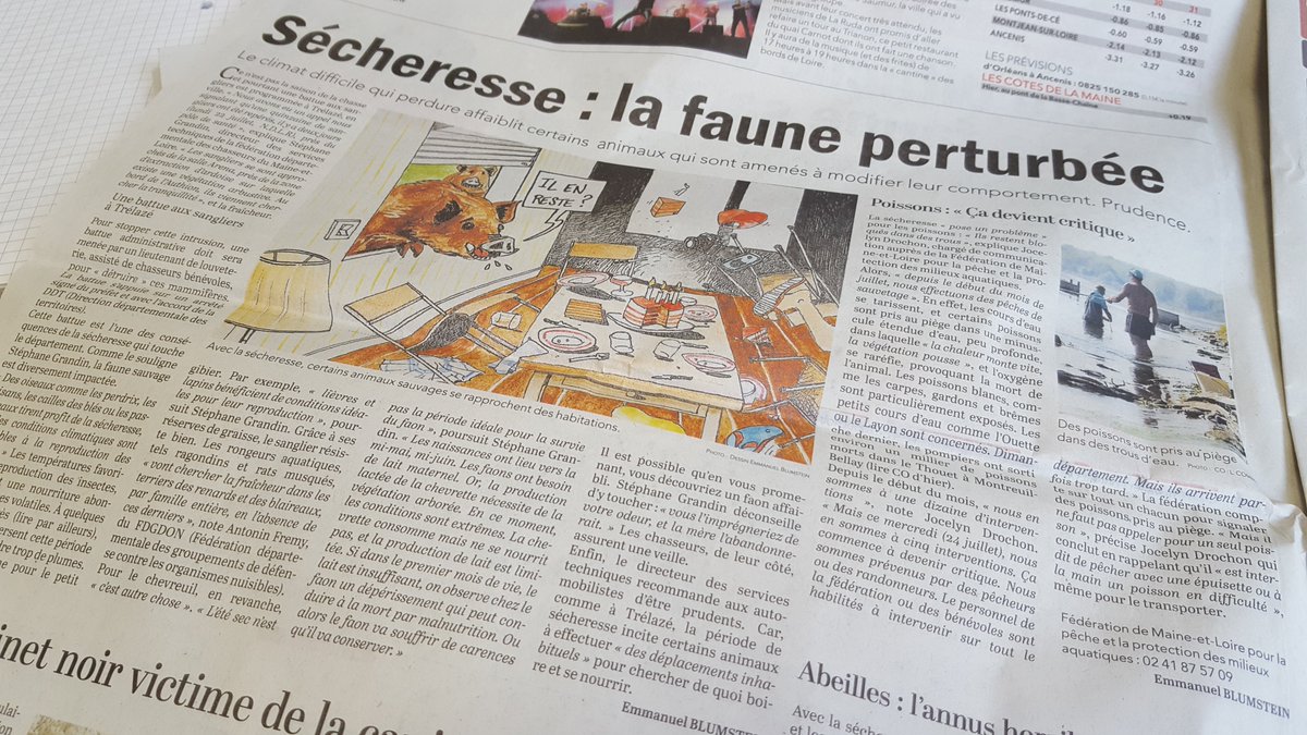 Guillet_C's tweet image. À lire ce matin dans la version papier du @courrierouest, le travail d'Emmanuel Blumstein avec un super dessin de l'auteur lui-même. #DessinDePresse #Bloomi
L'article : courrierdelouest.fr/actualite/main…