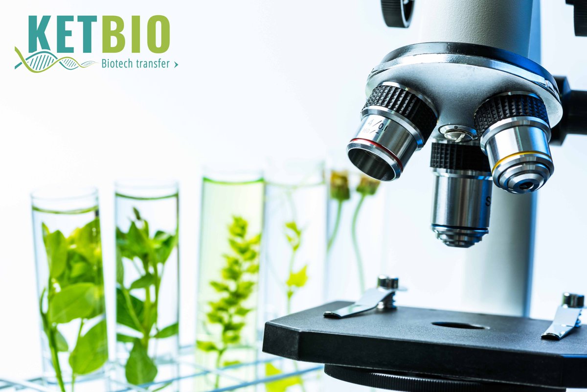 KETBIO_biotech's tweet photo. Want to know more on #startups in #chemistry &amp; #biotech, or about #bioeconomy strategies in Italy or UK ? Are you looking for a webshop of #biointermediates or  for info on #nanocellulose ? You will find it all in the partner news of KETBIO`s  newspoint#1 https://t.co/feRpTxssNE https://t.co/zviGHUhNWP