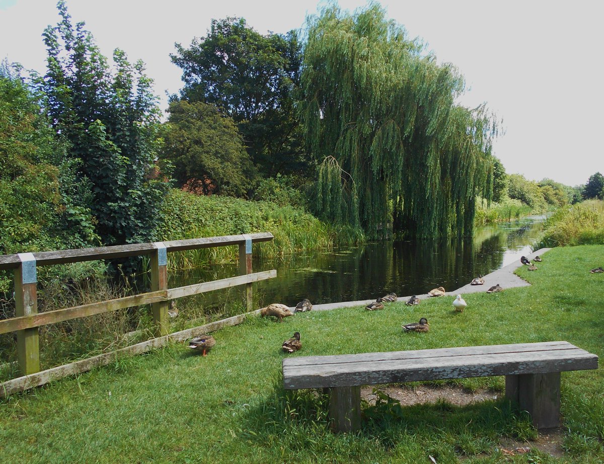 GranthamCanal's tweet image. Thank you to Julie for these pictures of the Trent End.

Some lovely stretches through #LadyBay #WestBridgford #Gamston #Nottingham

Julie has now walked the whole canal in stages (just the little bit in #Grantham to do)