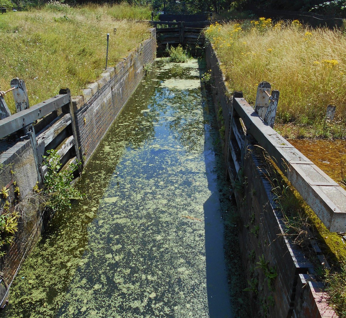 GranthamCanal's tweet image. Thank you to Julie for these pictures of the Trent End.

Some lovely stretches through #LadyBay #WestBridgford #Gamston #Nottingham

Julie has now walked the whole canal in stages (just the little bit in #Grantham to do)