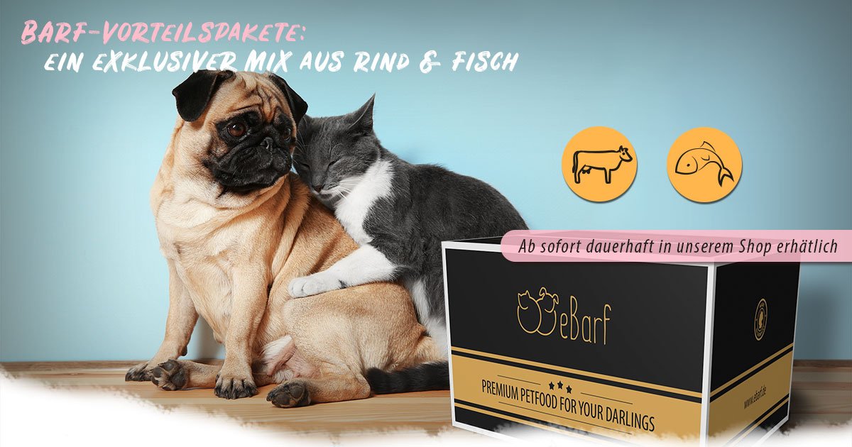 eBarfDE's tweet photo. 💥 Ab sofort dauerhaft in unserem Shop 💥

BARF-Paket Rind &amp; Fisch

Ein exklusiver Mix aus Variationen vom Rind &amp; Fisch vereint in einem Paket sowohl für Hunde 🐶 als auch für Katzen 🐱 erhältlich.

👉 https://t.co/1l1GZp2LcF

#katzen #Fixbarf #barf #menüs #eBarf #Hund https://t.co/yker1sP5ks