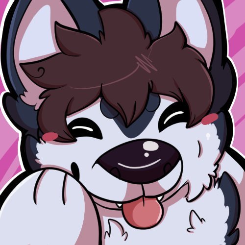 🦴🐾Collin The Husky🐾🦴 tweet media