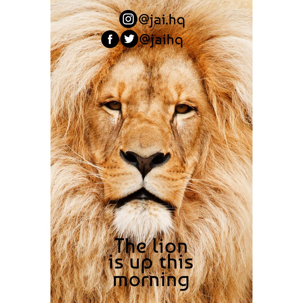jaihq's tweet photo. The lion is up!
#psalms #dope #fear #jaivision #jai #pcreator #christian #faith #vision #visionminded #jesus #quotes #christ #church #gospel #christians #christianquotes #cool #boys #girl #cute #handsome #pretty #dapper #holy #holyspirit #bible #bibleverse #young #beauty https://t.co/bVVvT1EFTw