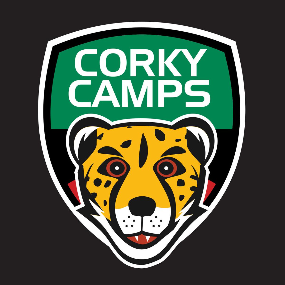 CorkCityFCWomen's tweet photo. ⚽️⚽️ CCFC Summer Soccer Camps ⚽️⚽️

Camps are taking place in Bishopstown &amp; Watergrasshill

Book online now !  https://t.co/JdN4OCel1v https://t.co/jBE7jvjam8