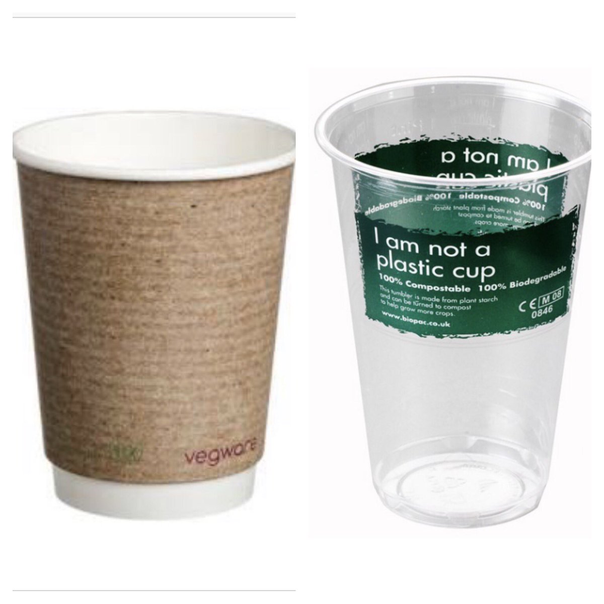 Sisters Against Plastic tweet media