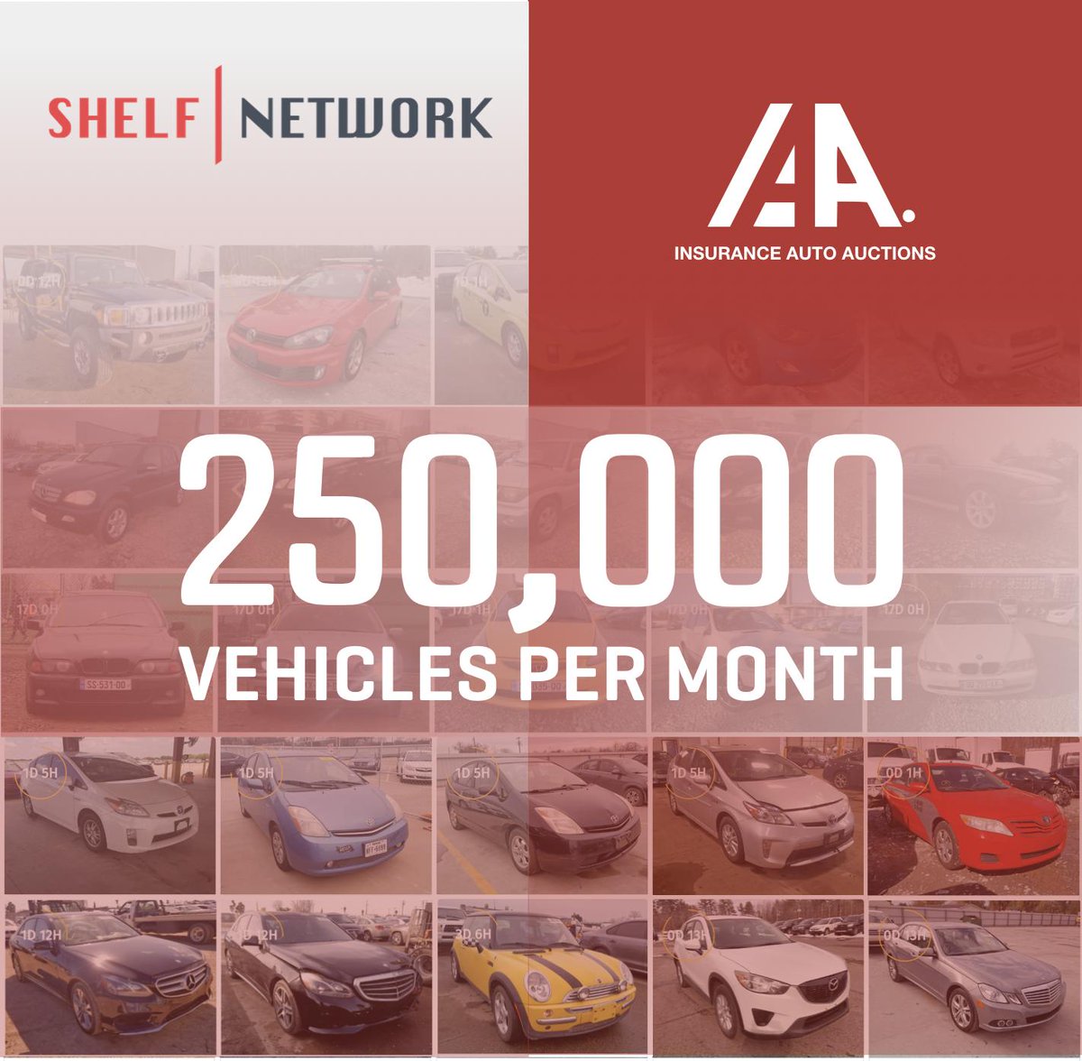 Shelf.Network tweet media