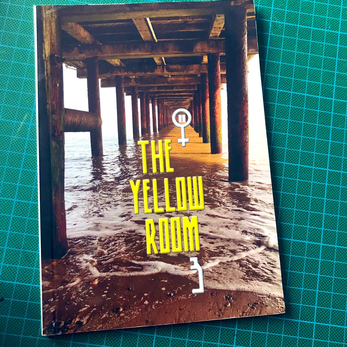Evalyn7's tweet photo. @lmecham @BodegaMag I wept when my short story ‘Emergency Call’ was accepted by #TheYellowRoom. Life changing. In bed, post surgery, no idea WTF was going on in my career or life. Thank you so much to the brilliant @yellowjo!! Ten years on. What a journey. #Firstacceptance #gratitude https://t.co/sjSc6fe2cg