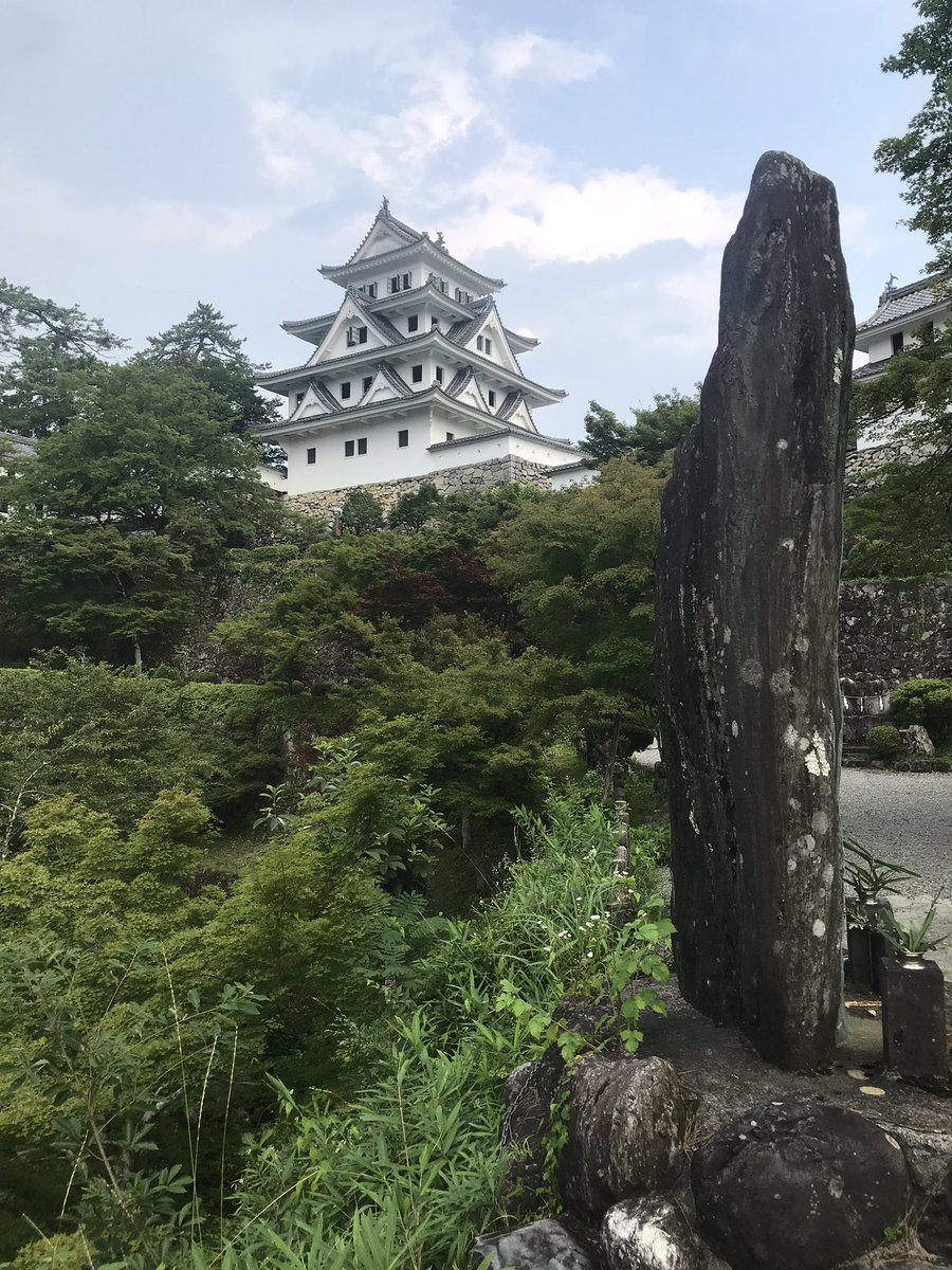 tazimayuu's tweet photo. 本日も郡上八幡城拝みにだけきました。この景色見ながらボケっとするの落ち着きます https://t.co/XVGa8MXgXe