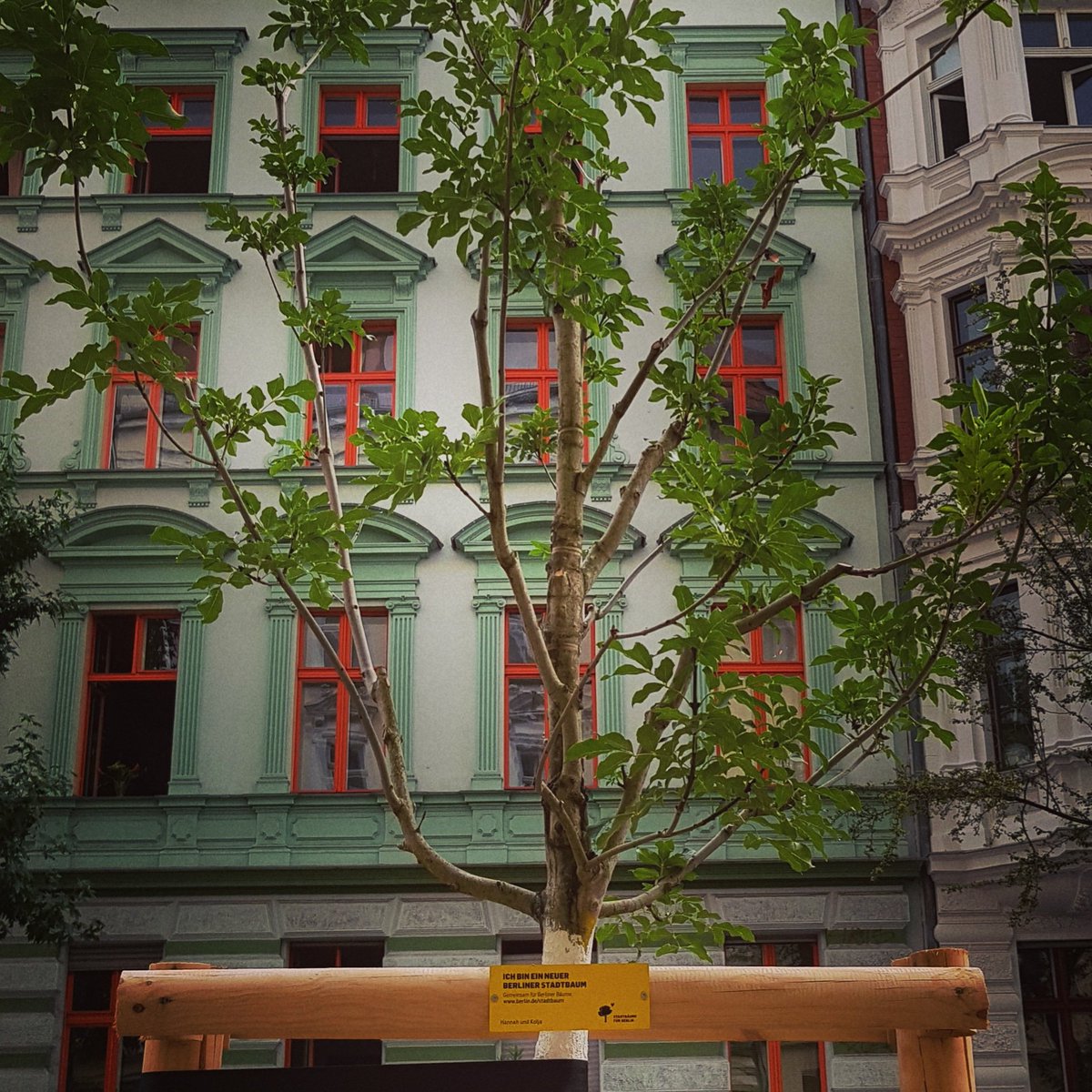 Berlin Companion tweet media