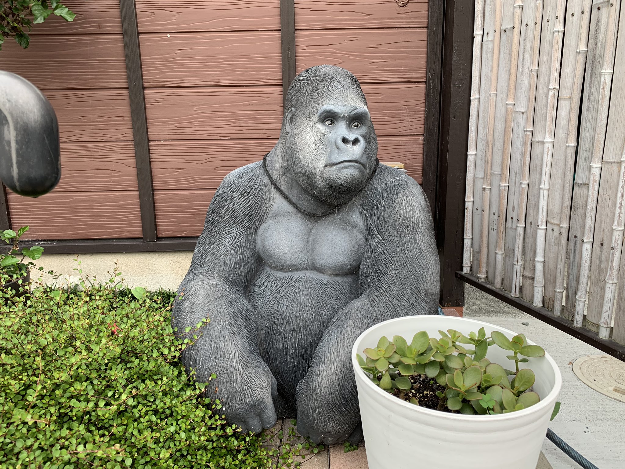 近隣配達可】等身大 ゴリラ アニマル オブジェ 動物 置き物
