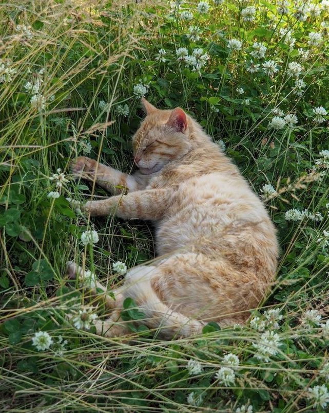 itscooltobeacat's tweet photo. 🍃 #강다니엘 #KANGDANIEL https://t.co/1XJkehTQH1