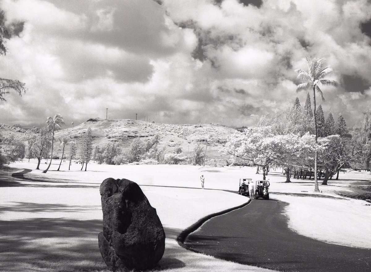 3eyedmonster's tweet photo. I don’t play golf, but I do #infrared with #rolleiinfrared #believeinfilm #lubitel166 #r72filter https://t.co/TpfGmQmYY2