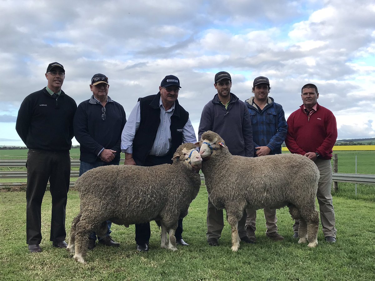 Gordon Wood tweet media