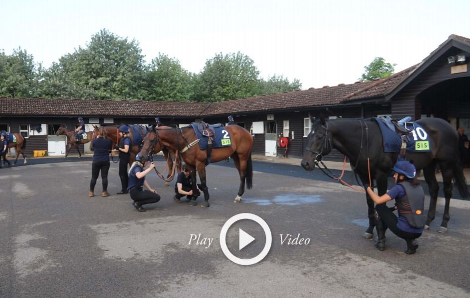 AlaynaCullen's tweet image. The next episode of Behind The Scenes @BRSNewmarket is now available. We meet some of the students on Course 333 who are passionate about starting a career in horse racing. Watch here:  vimeo.com/350744652