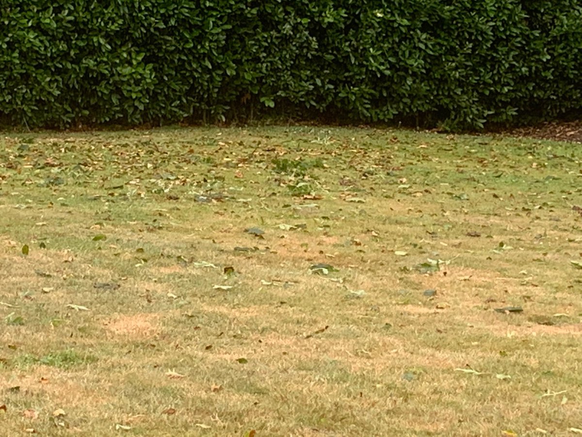 CherlyGsy's tweet photo. What a bloody mess ๐ก #hatewind https://t.co/HCoJaQOY8m