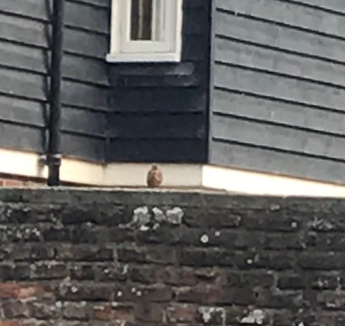 silvercitizen1's tweet photo. World War Two hand grenade found on a bridge outside the Marlowe Theatre last night, police had just arroyo block off the toad as I walked by🙏🏻 https://t.co/94cboCr03k