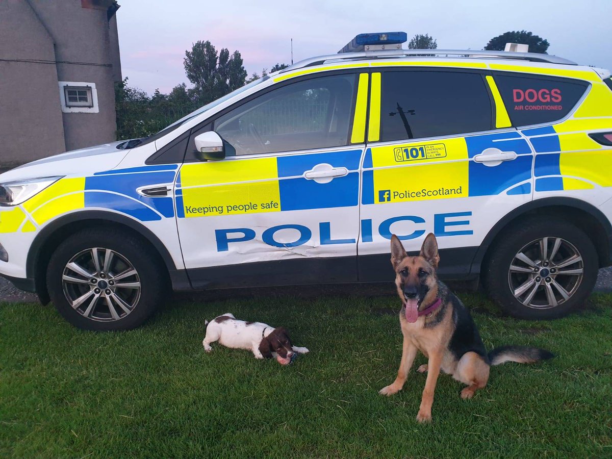 PSOSDogs's tweet photo. #PDTora trying to teach her little brother #TPDLoki all about #TongueOutTuesday 
As you can see he thinks he is far too cute to get involved in that nonsense 👅
#PoliceDogsOfTwitter 🐾🐶 https://t.co/NudnBdxWEP