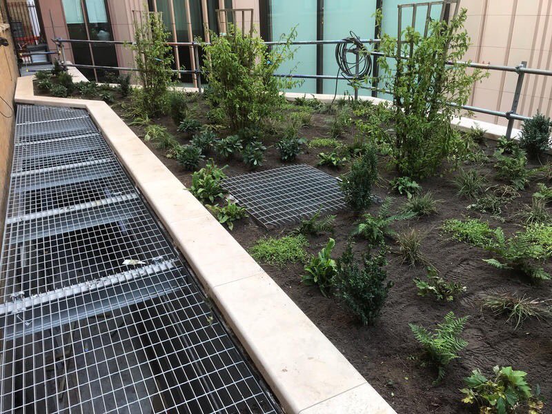 smith_micksmith's tweet photo. ⁦@icb_uk⁩ Another amazing project by ICB Projects.
A fully planted podium deck in Central London.
Can’t wait to see its development of the next couple of years. #ICB #Greeningthecity #livingroofs https://t.co/lryQ9J75iU