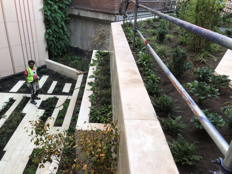 smith_micksmith's tweet photo. ⁦@icb_uk⁩ Another amazing project by ICB Projects.
A fully planted podium deck in Central London.
Can’t wait to see its development of the next couple of years. #ICB #Greeningthecity #livingroofs https://t.co/lryQ9J75iU