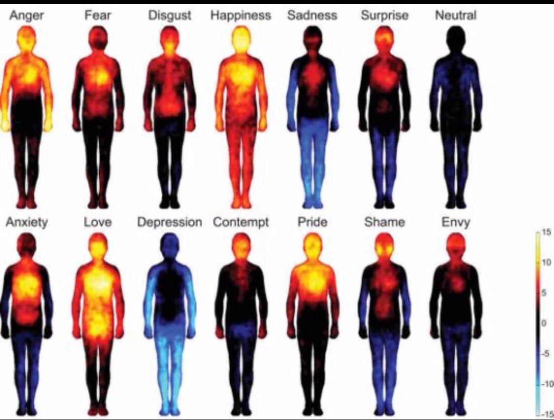 DrMaryWelford's tweet photo. A great graphic to help identify different emotions &amp; how they effect our bodies - The fact that shame is Spider-Man is amazing bonus material 😂😂😂 #365daysofcompassion https://t.co/5MQYjwcaPe