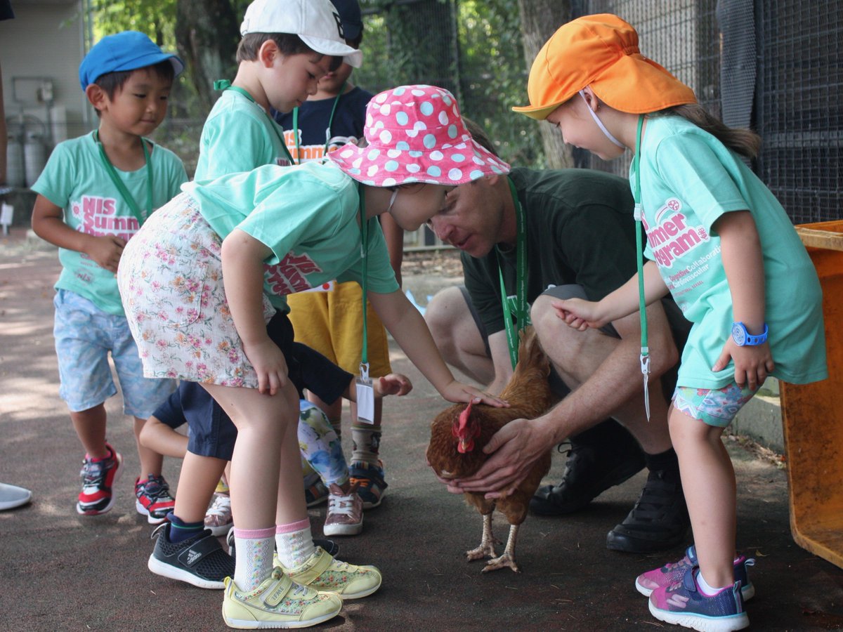 NIS_Summer's tweet photo. Let's see how many eggs NIS chickens laid this morning...#NISinquire #NISsummerprogram2019 #chickens #eggs #サマースクール #インターナショナルスクール #名古屋国際学園 https://t.co/5U7E7Dpwoi