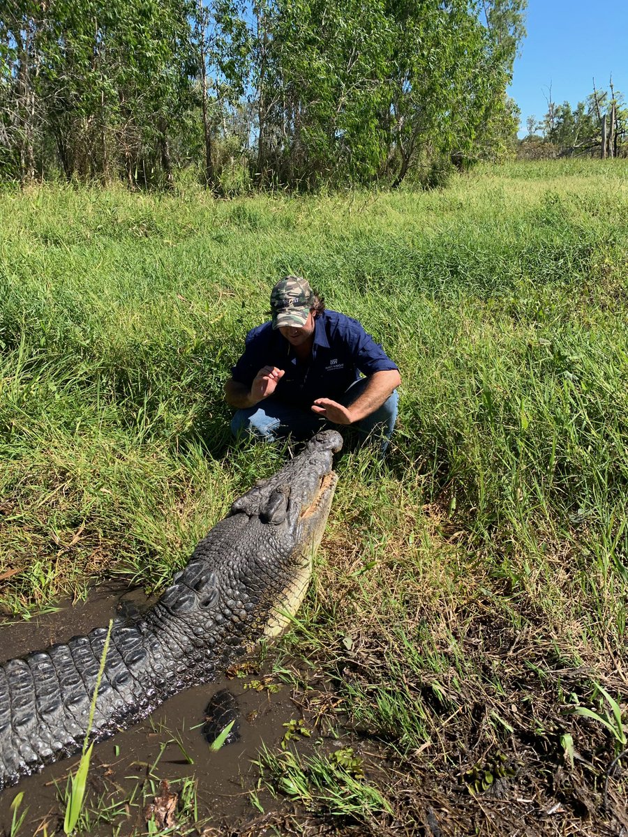 MattWrightAus's tweet photo. Want to get up close and personal with some of the world’s biggest crocs? Tune in next week for the US launch of Monster Croc Wrangler on @natgeowild #monstercrocwrangler #crocweek https://t.co/nDwmCpWRoK