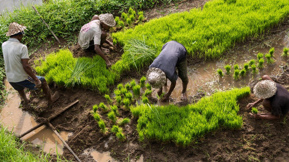 Olam's tweet photo. We are proud members of #CSA100, which has helped evolve our thinking around climate change strategies that drive business improvements. See how 100 leading companies from the #food, beverage and #agriculture sector have committed to CSA: https://t.co/hrFCYkrJci @wbcsd https://t.co/emgcWNXde9