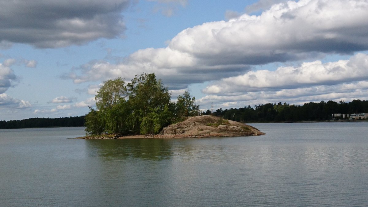 Maik Schmidt tweet media