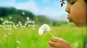 IvanhoeSolis's tweet photo. "La #felicidad no #consiste en realizar nuestros #ideales, sino en idealizar lo que #realizamos". https://t.co/UIY4L4aDxB