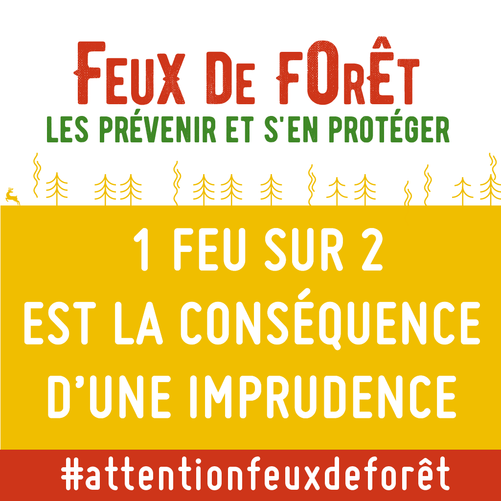 Ecologie_Gouv's tweet photo. ⚠️🔥🌲 1 feu sur 2 est la conséquence d'une imprudence.

Connaissez-vous tous les bons gestes pour prévenir les feux de forêt et s'en protéger ? 

❌ Ni feux, ni barbecue aux abords des forêts
❌ Pas de cigarettes en forêt

➡ https://t.co/FhFvEeEsUk
#AttentionFeuxDeForêt https://t.co/WsNsEf49uY