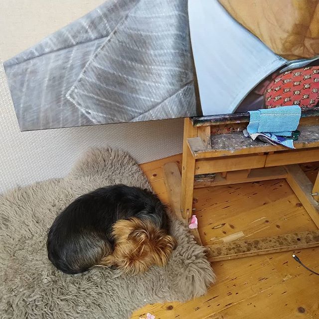 annemiddleton_'s tweet photo. That's just how I like it. In my studio, blissfully quiet, with my dog at my feet.
https://t.co/We1J7CO233
-
#inmystudio @bonnierozeck #missyrozeck #oilpainting #australianartist #portraiture #australianterrier #inmelbournetoday https://t.co/lk0cCGqLR7 https://t.co/bfEjM0KcPS