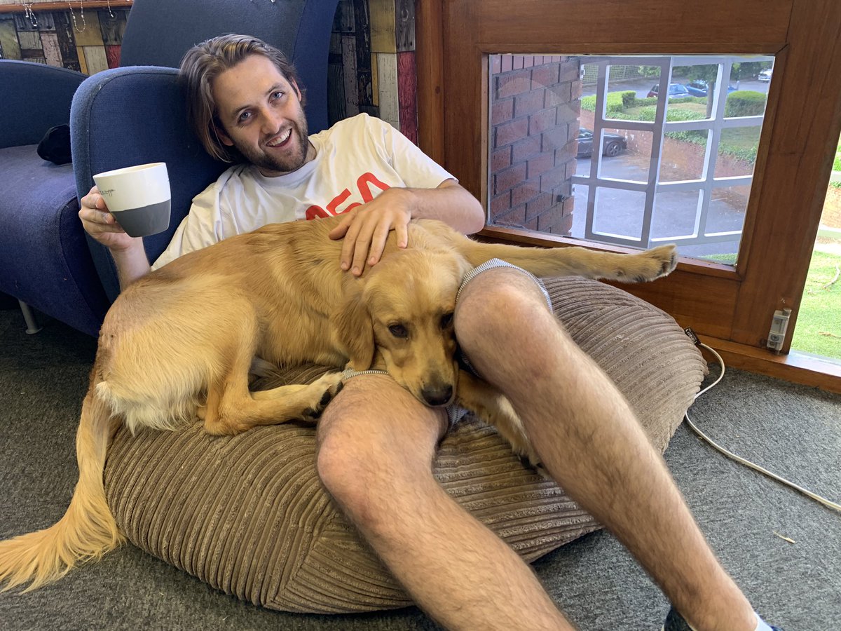 Merlincreates's tweet photo. Me fulfilling my role as office counsellor to @CarefreeCard ... it’s a tough job but someone has to do it. Word on the street is he’s a good looking human. I ask, who’s most handsome, me or him? #handsomeoff #officedog https://t.co/WzRqQxxJEO