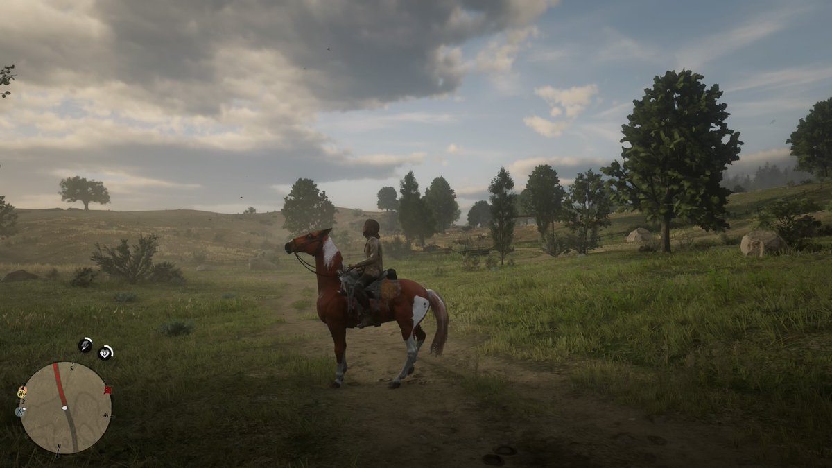MEistee19's tweet photo. Red Dead Redemption 2 #pferd#PS4 https://t.co/nLWUHSyqjK
