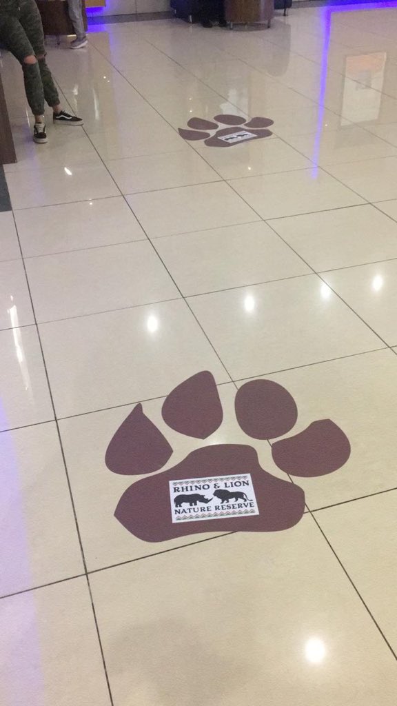 Blood_Lions's tweet photo. NEWS: South Africa's biggest movie exhibitors, @sterkinekor, supports predator breeding and animal interaction industries for the #LionKing release. See below:
https://t.co/PHltzLCq9U https://t.co/yhPvxqHu2t