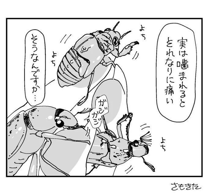 サバイバルクッキング
【蝉と粉吹黄金虫編|実践】
https://t.co/q08TQ9tt4I
捕獲、調理、味をめぐる実写実食実証レポートを書きました? 