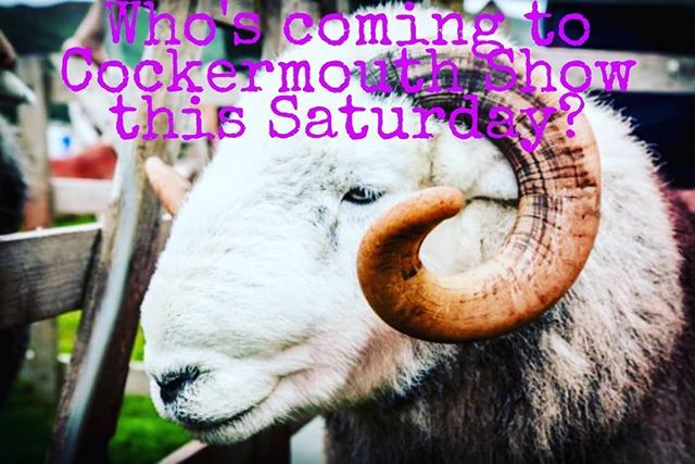 ApparelGyow's tweet photo. I'll be trading at Cockermouth Show this Saturday from 10-4 . Who's coming?
#sales #agriculture #Cumbria
#cumbralife #trader #seller #gifts #giftsforher #giftsforhim #adventurer #wilderness #farming #notjustlakes
#igerslakedistrict #thelakedistrict #thelakes #theplaceto #i… https://t.co/vXaDprOtJB