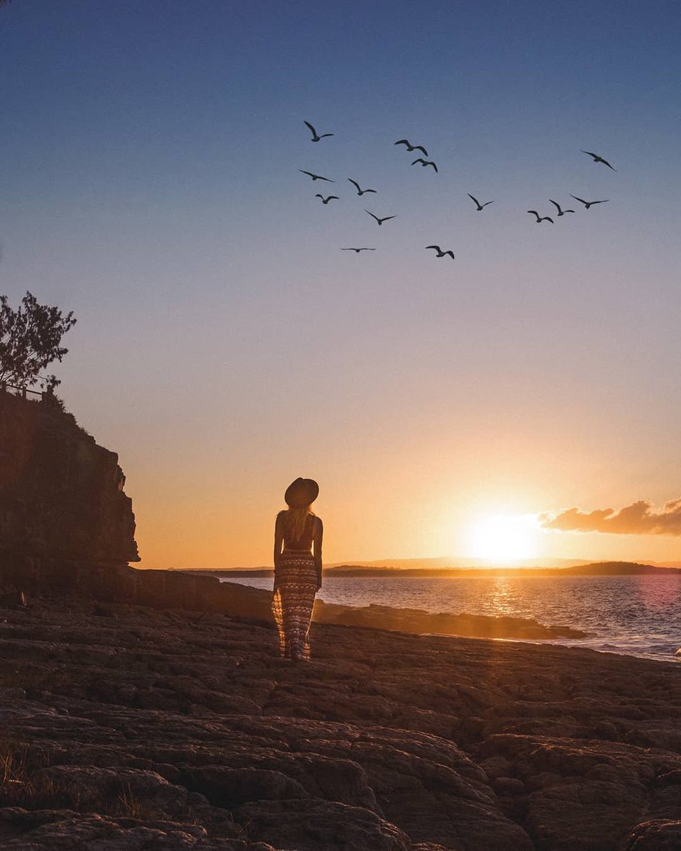 noosa's tweet photo. Walking into postcard perfection like...✨😌 Today's takeaway, sunset strolls are always a good idea💡 and almost always result in oh-so-dreamy #Noosa vibes! 🌅 

( #BoilingPot via IG/adventurewithemily)
#Noosa #RelaxationCapital #SeeAustralia #ThisisQueensland https://t.co/5lob3wl71t