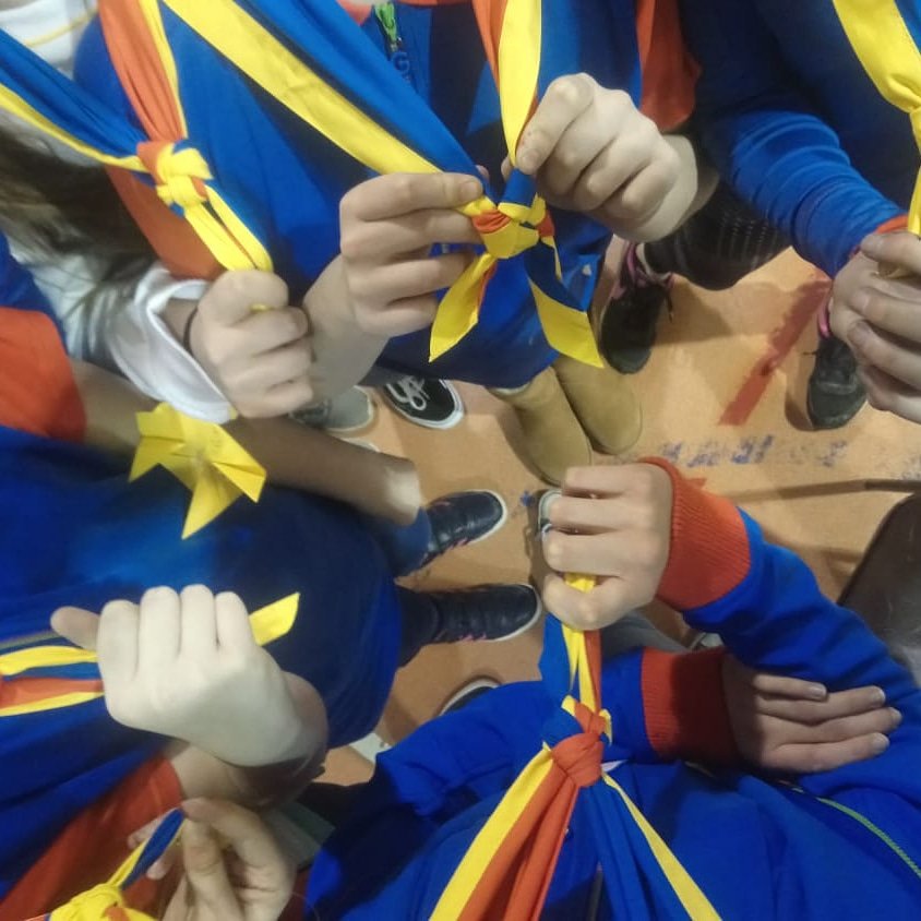 MORPETH DIVISION Girlguides tweet media